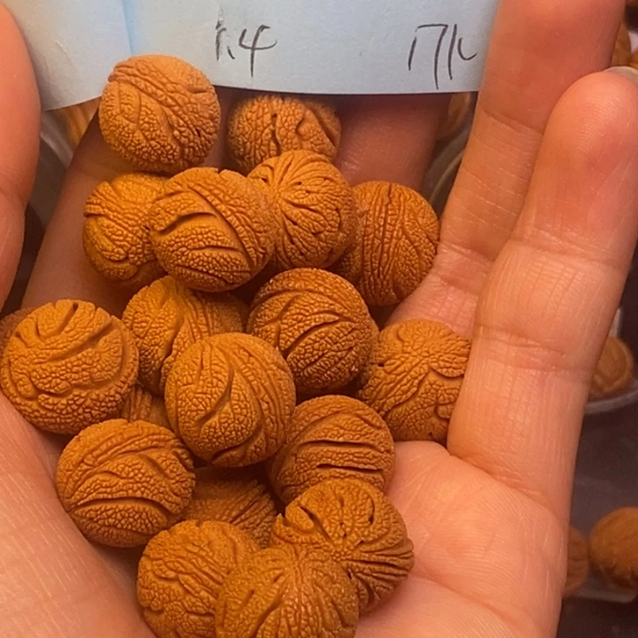 桃核手串桃核龙纹14尺寸