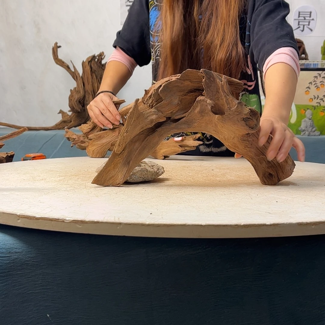 沉木造景寄居蟹景