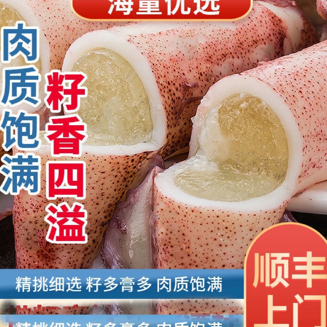 福建东山岛当天捕捞带膏带籽鲜活海兔码头鲜香鱿鱼海兔笔管