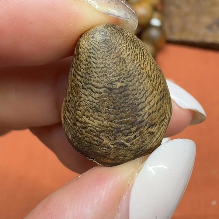 沉香沉香碎屑馨安居沉香88888