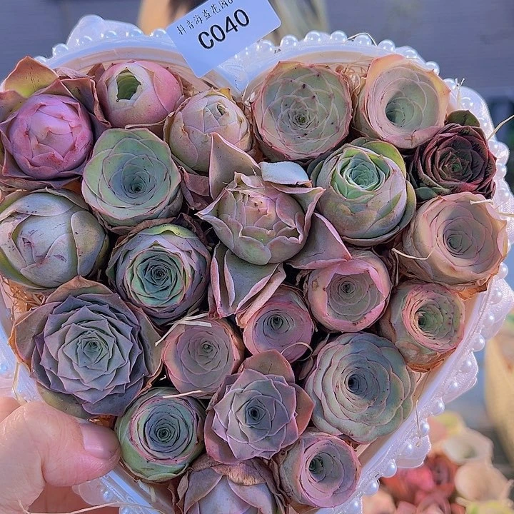 C040。玫瑰混花篮。