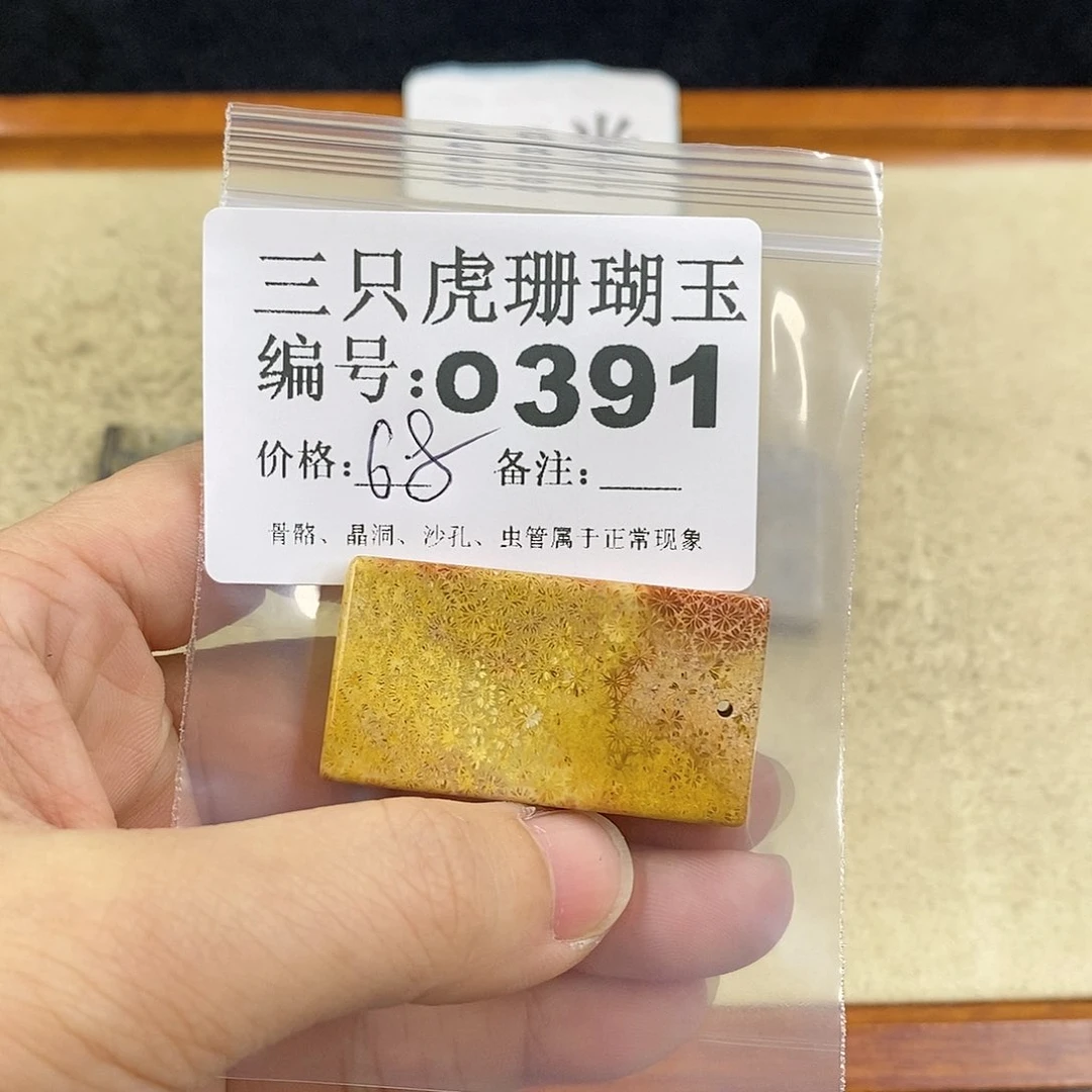 硅化珊瑚（珊瑚玉）1未镶嵌飘