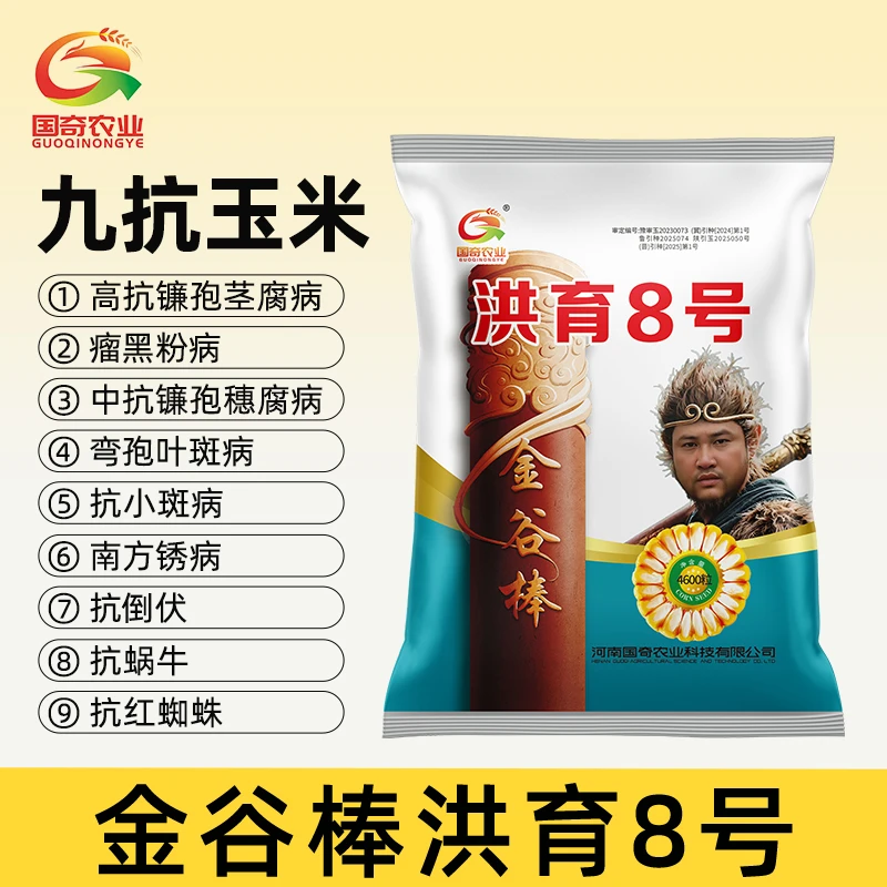 金谷棒洪育8号（九抗玉米）
