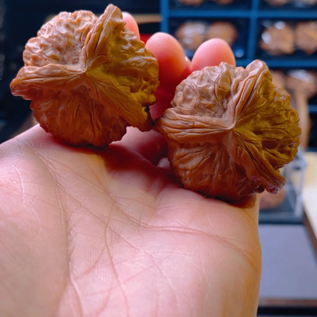 精品核桃44石门奔