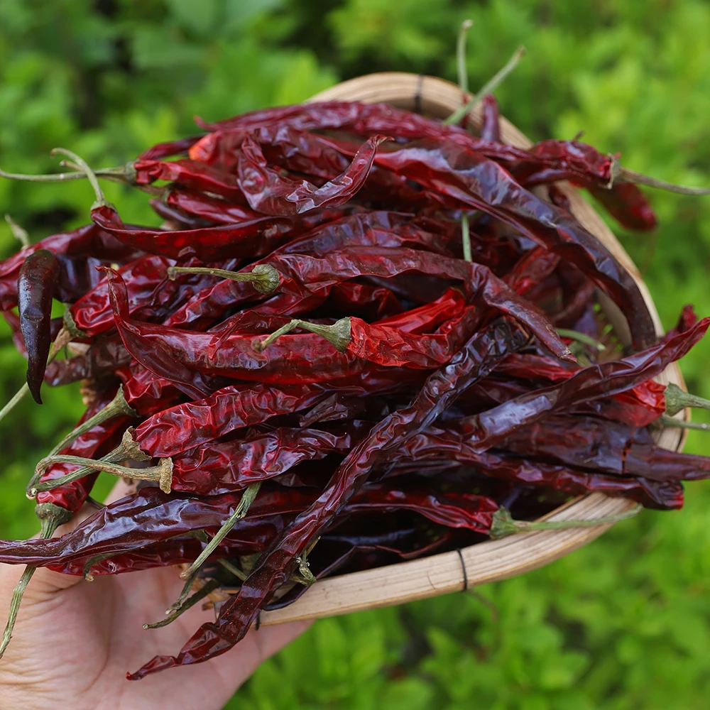 农家辣椒干辣椒皱皮辣椒微辣炒菜贵州特产干皱皮干红辣椒
