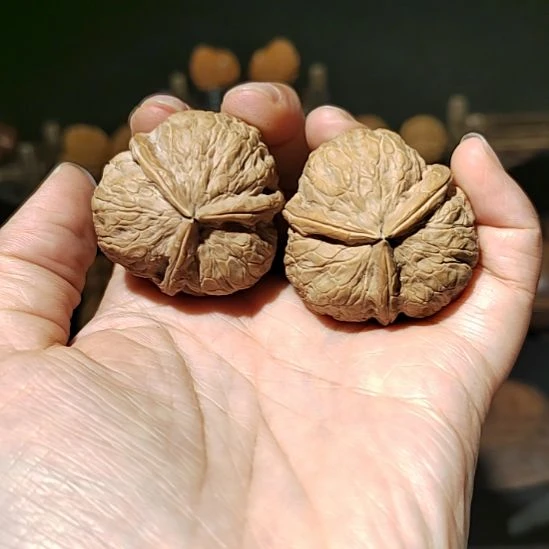 把件文玩核桃福利三棱粗筋沉手39尺
