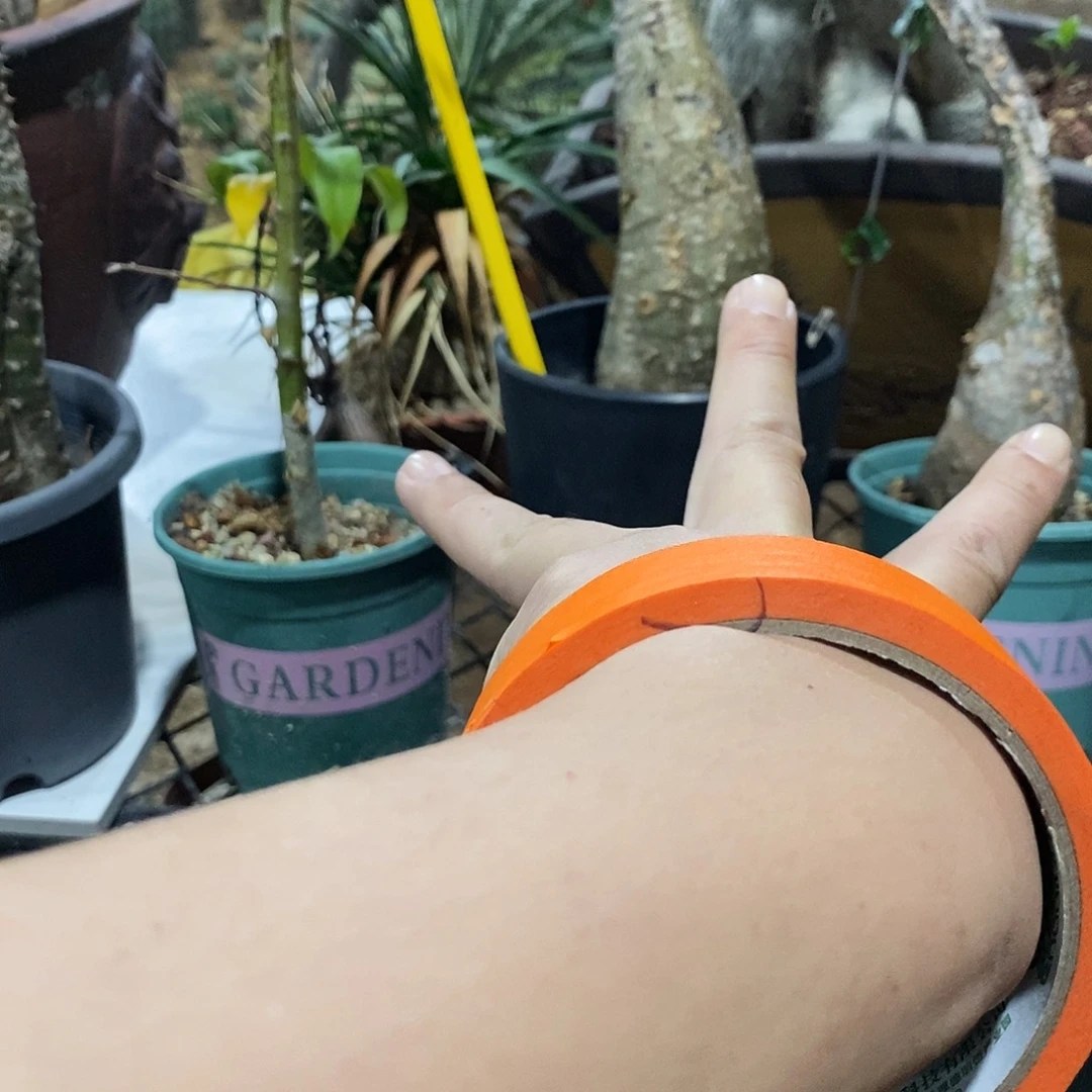 蓝***煜巴市胖锤    。