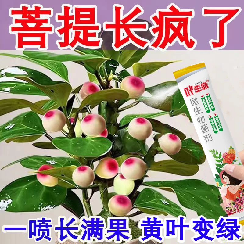 小盼菩提营养肥防黄叶落果枯萎促生长催开花结果绿叶养花专用肥料