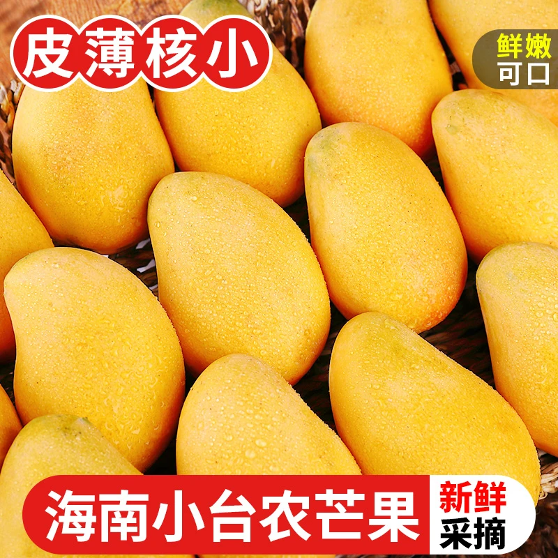 海南小台农芒果5斤新鲜小台芒当季特产水果现摘芒果大果整箱包邮2