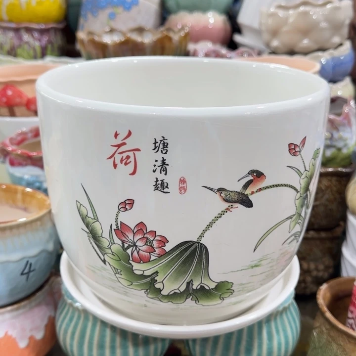 不清楚问客服凑9块包邮，有孔