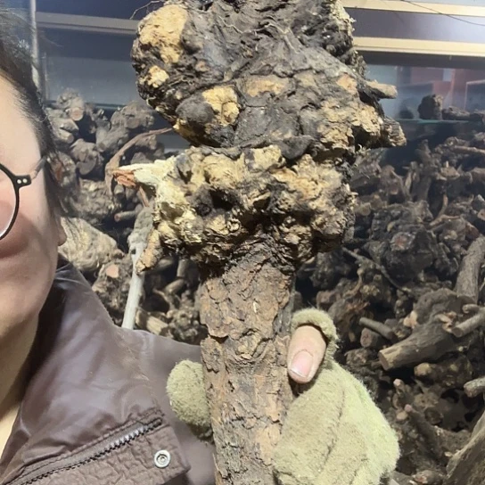 香榧木安*火琉璃的故事是毛料摆件