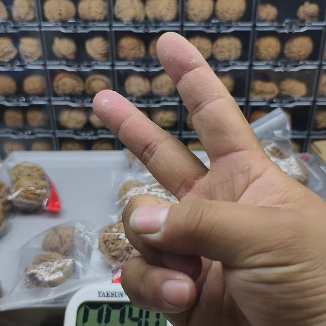 哈哈哈哈哈哈哈哈哈