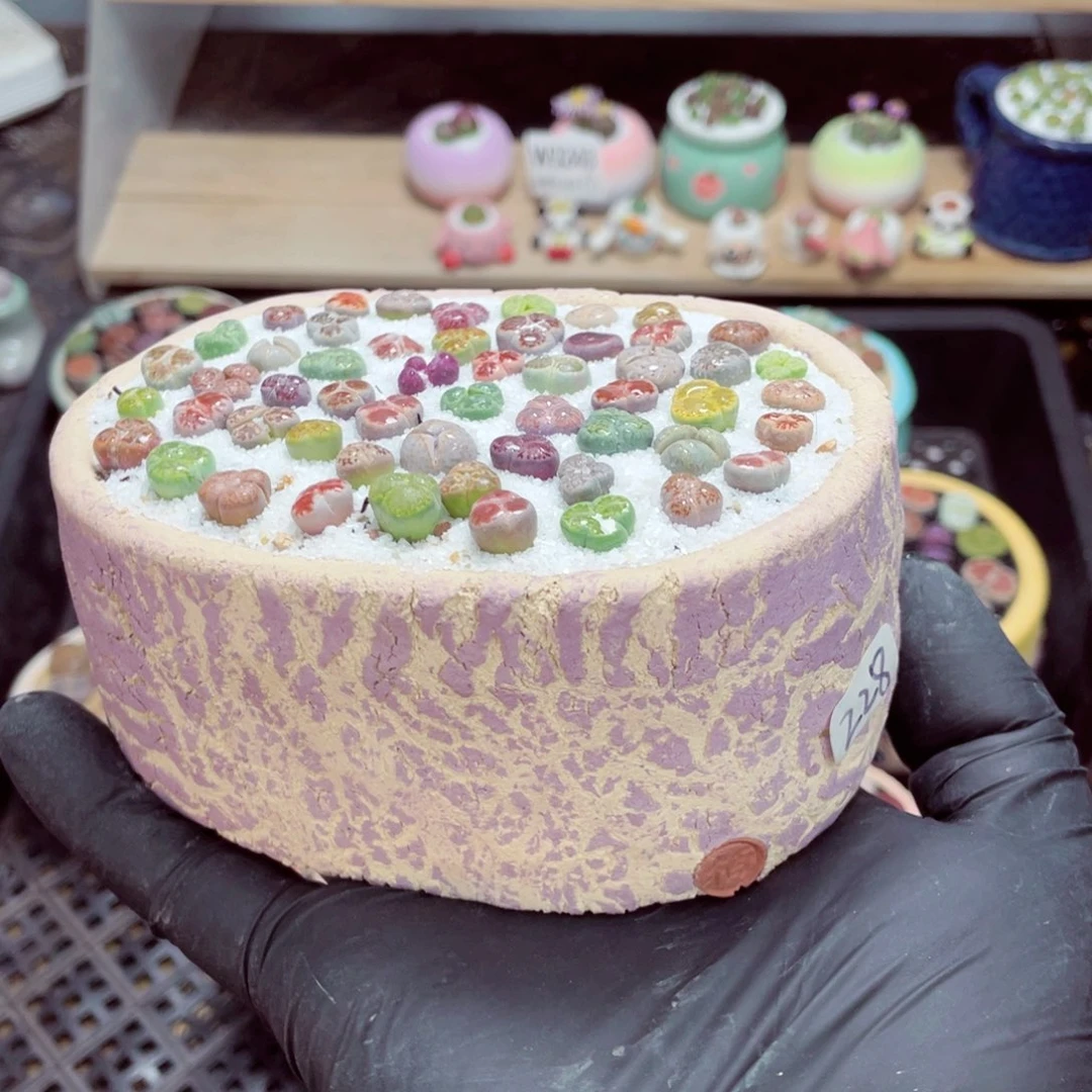 羽****夜间零下地区拍保温箱w3250