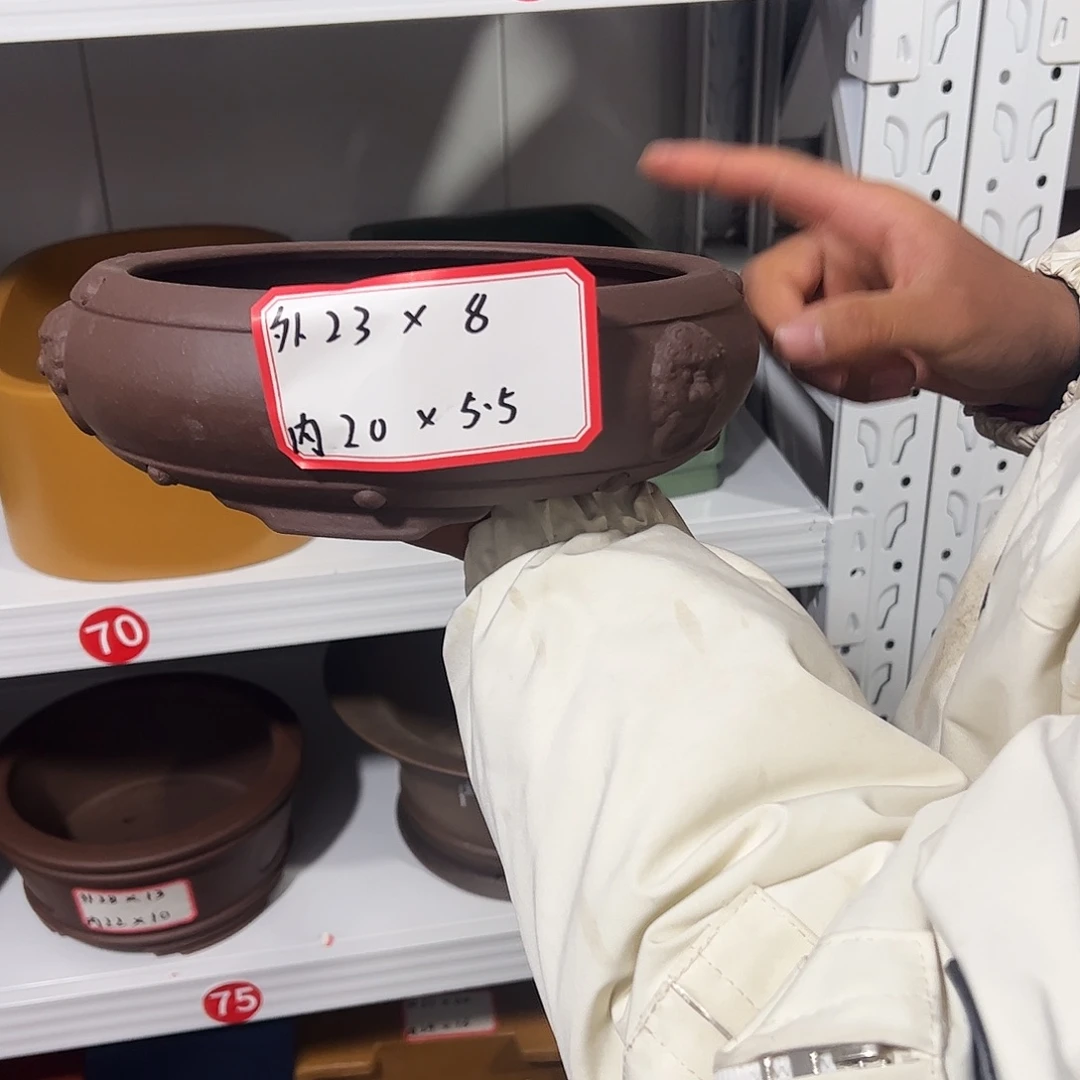 紫砂其他紫砂花盆