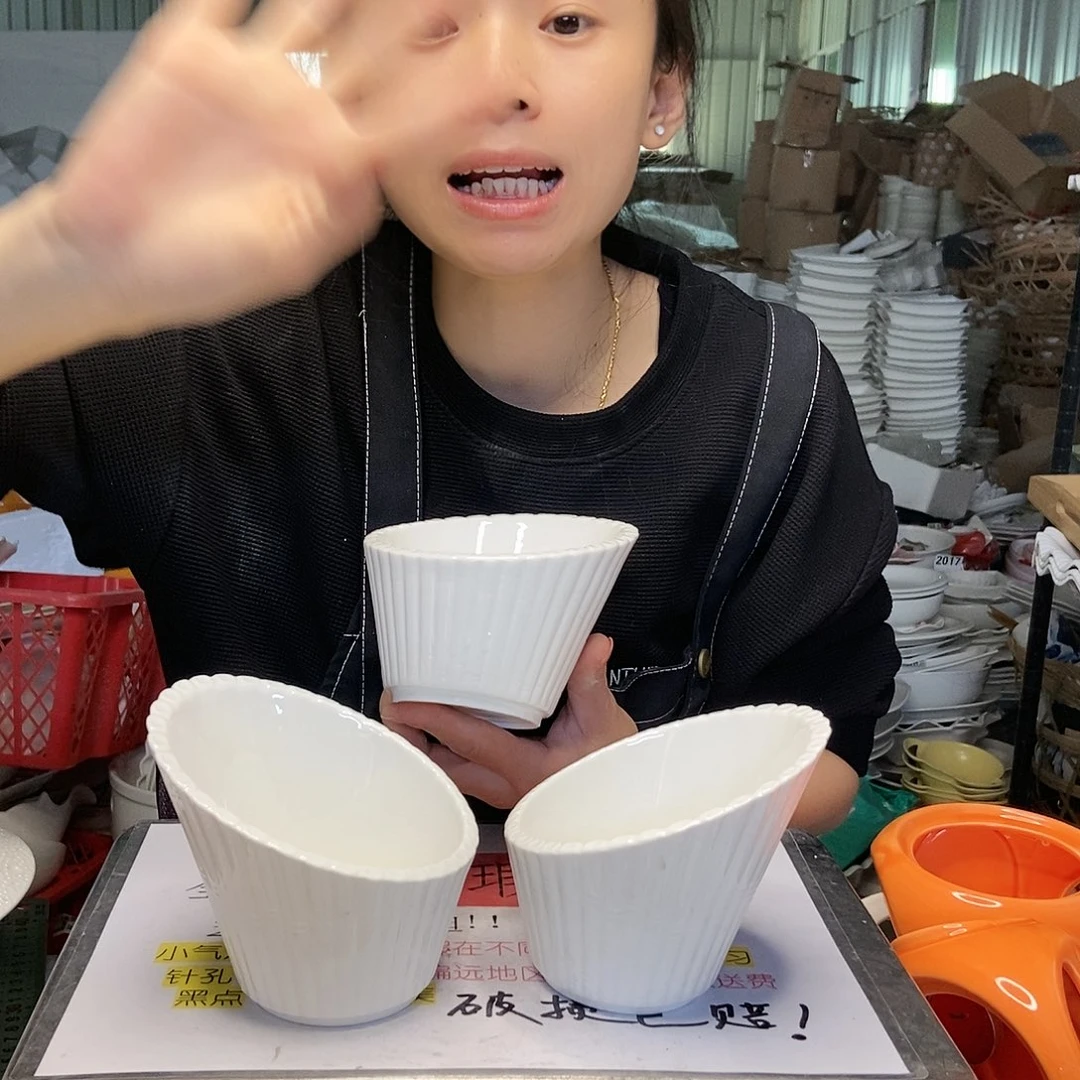 【闪购商品】碟工厂库存微瑕产品794三个