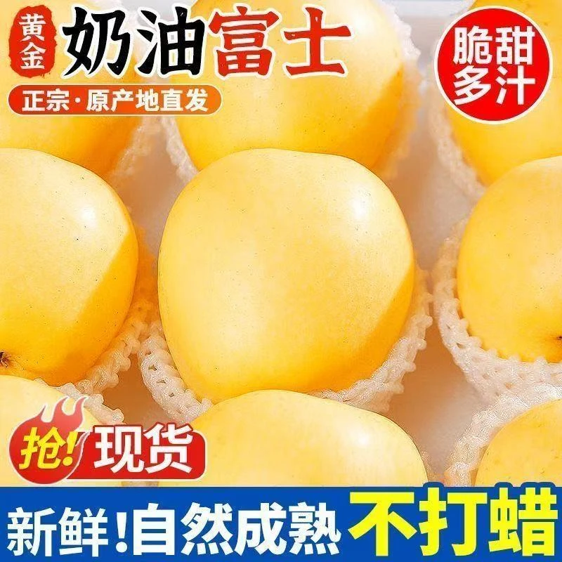 山东烟台栖霞奶油苹果新鲜富士4.5-8.5斤装当季水果