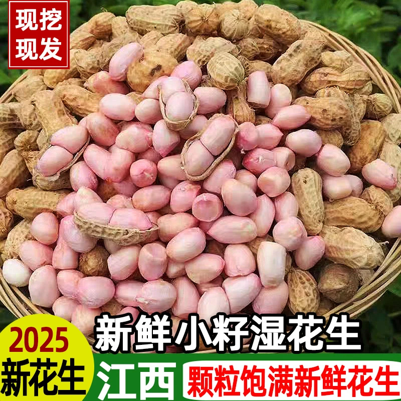 新鲜花生2025安徽农家自种现挖现卖带泥带壳粉皮湿花生可水煮精选