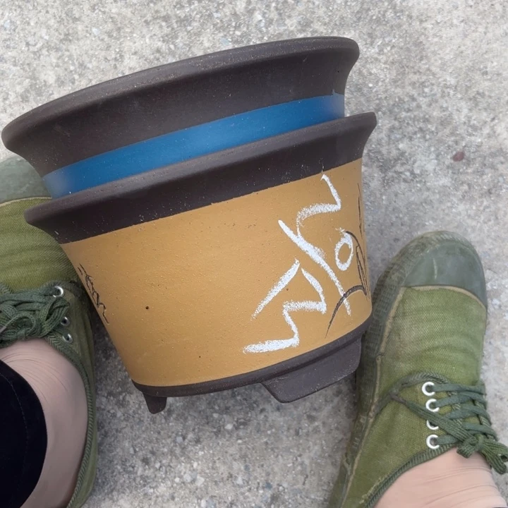 紫砂花盆紫砂的花