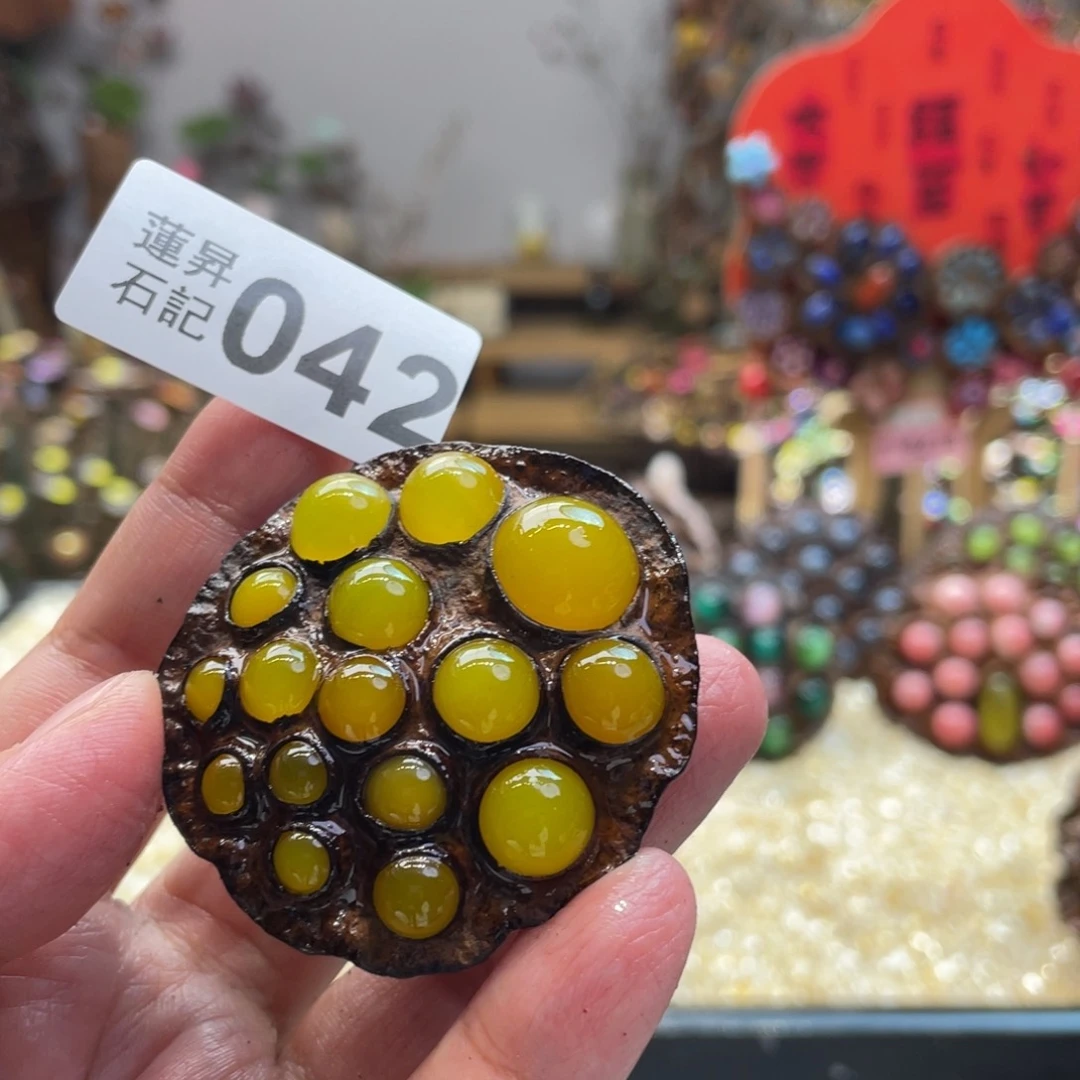 核桃木/黑胡桃（胡桃木）043