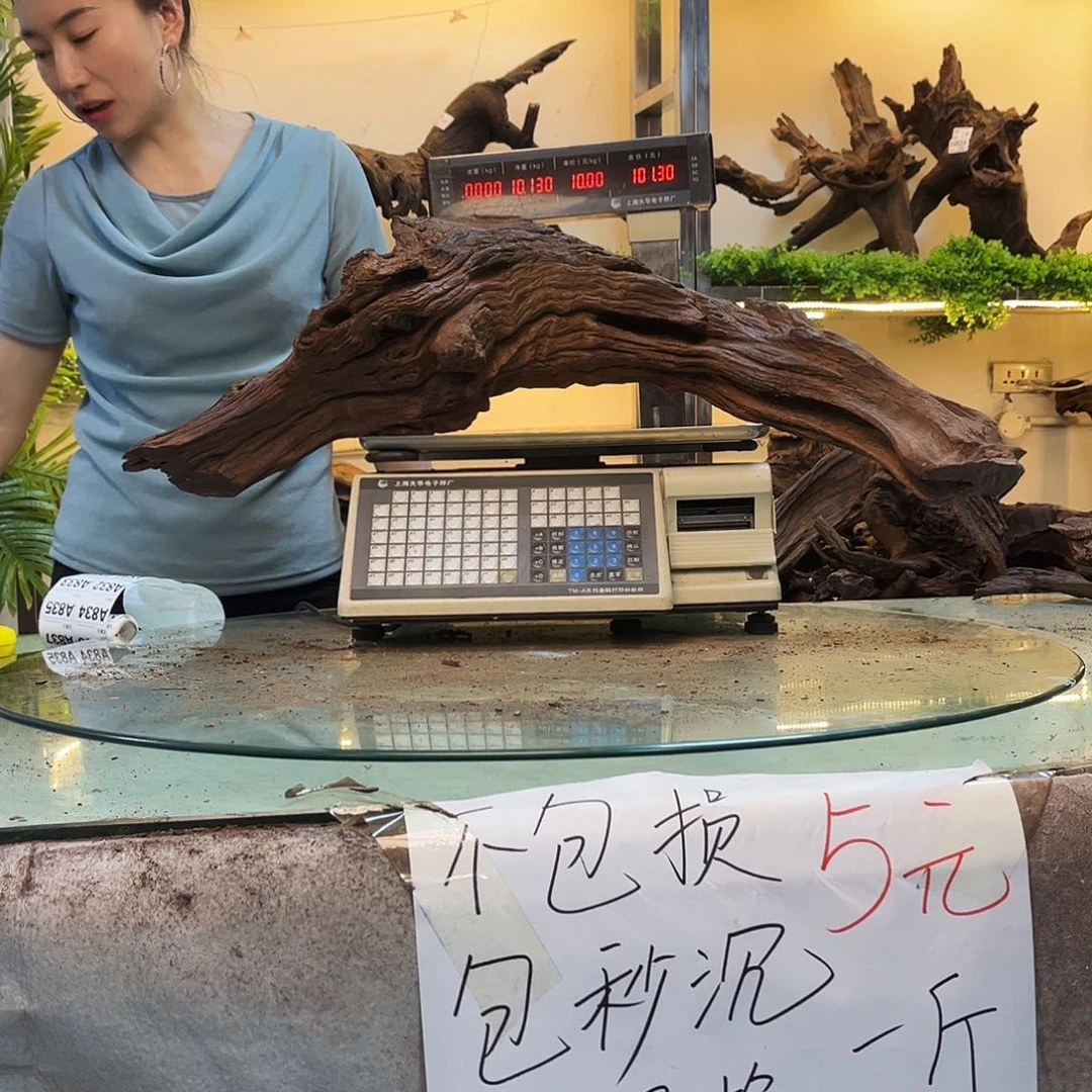 柚木李**?沉木鱼缸造景