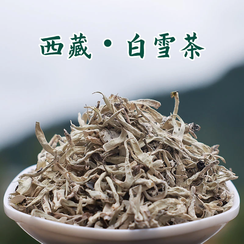 西藏高原雪山白雪茶产地直发100g手工挑选高海拔干货