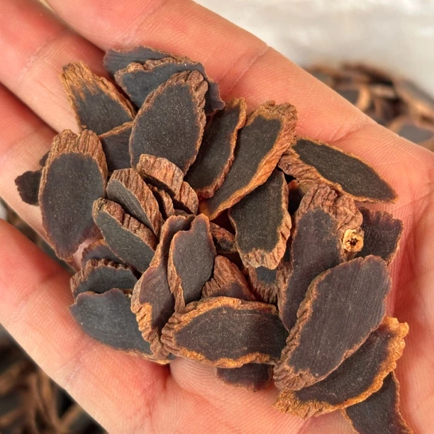 「金边黑参片」中缅边境纯野黑参主根切片菊花纹纯干无糖100克起