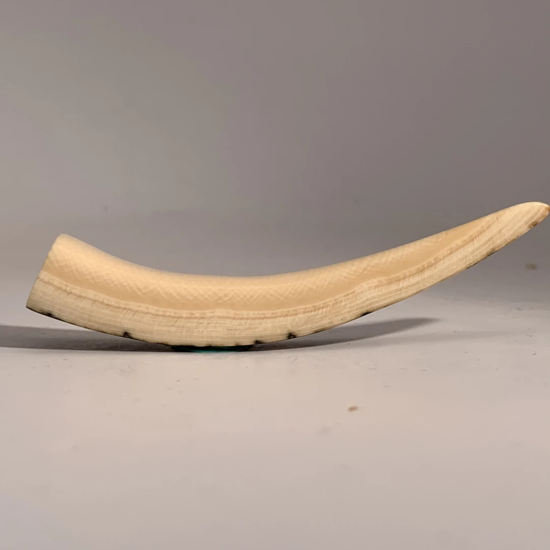 猛犸牙白冰料带皮牙尖单个随机发84*18*12mm假一罚四X2646