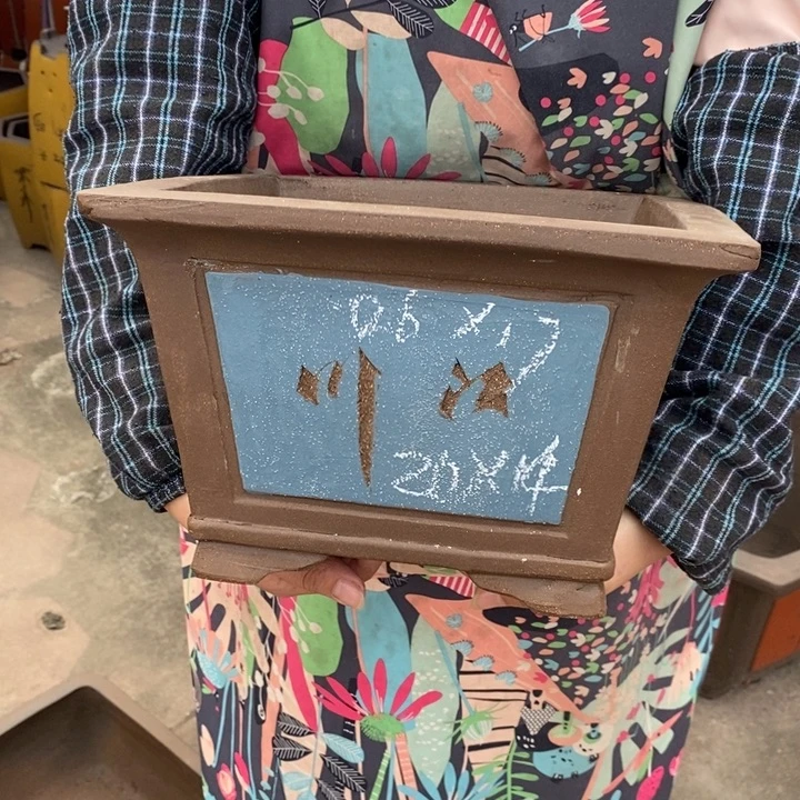 花盆紫砂只顾看手机的日子