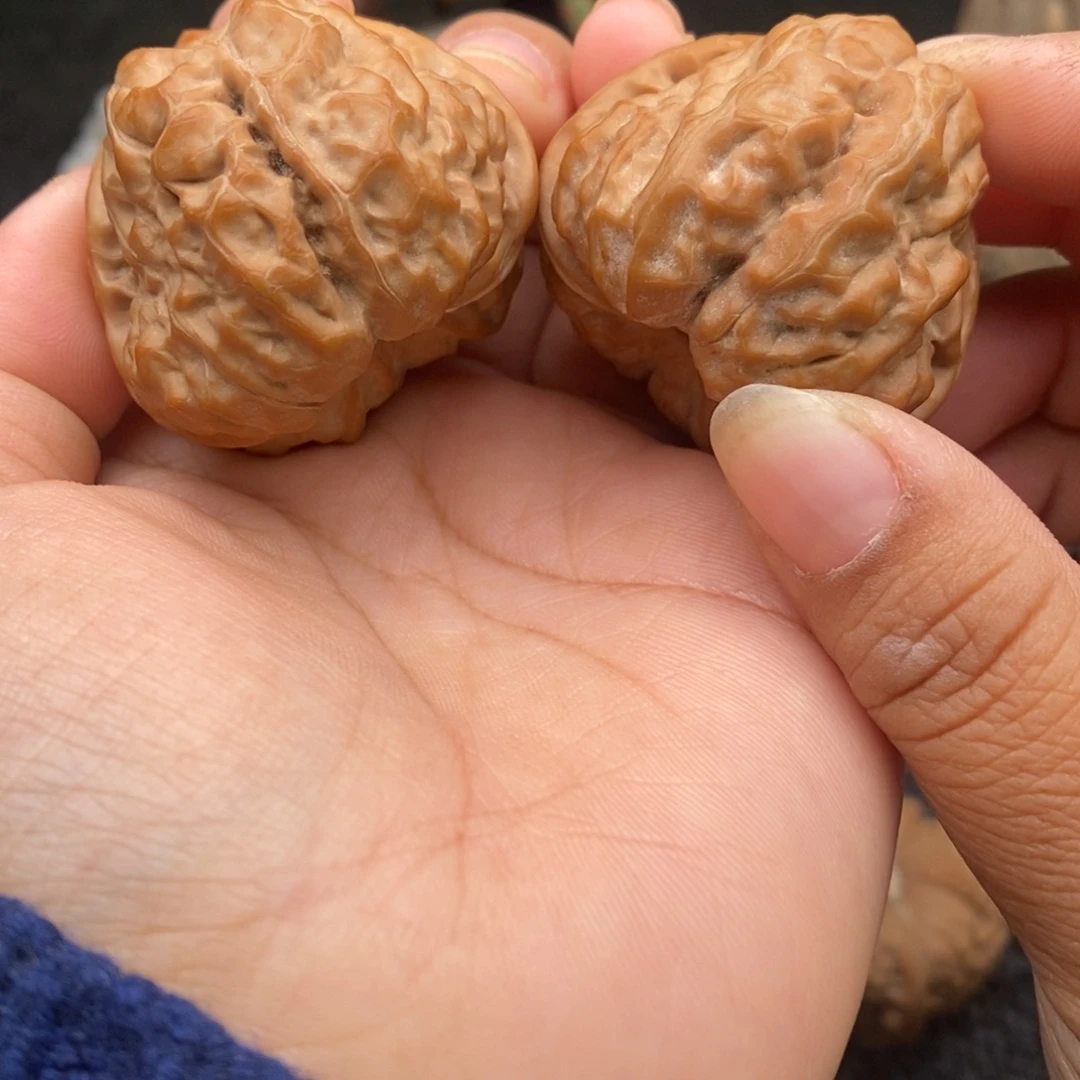 把件文玩核桃40/44蛤蟆头