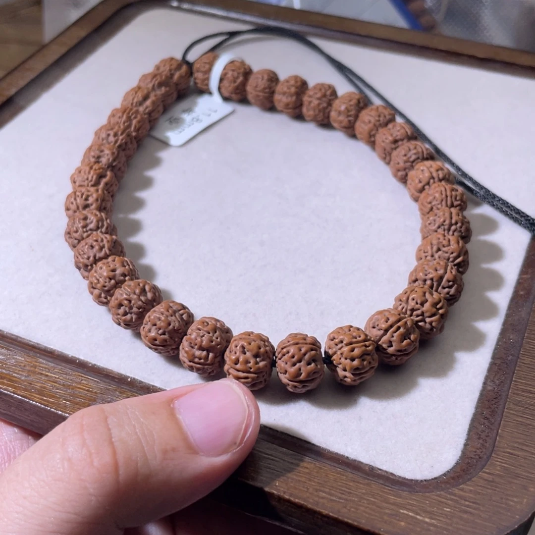 金刚菩提吊坠宋*生老树王毕业11.8