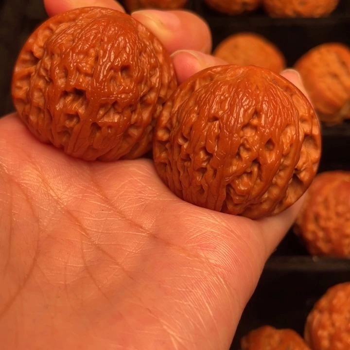 秦岭野生文玩核桃