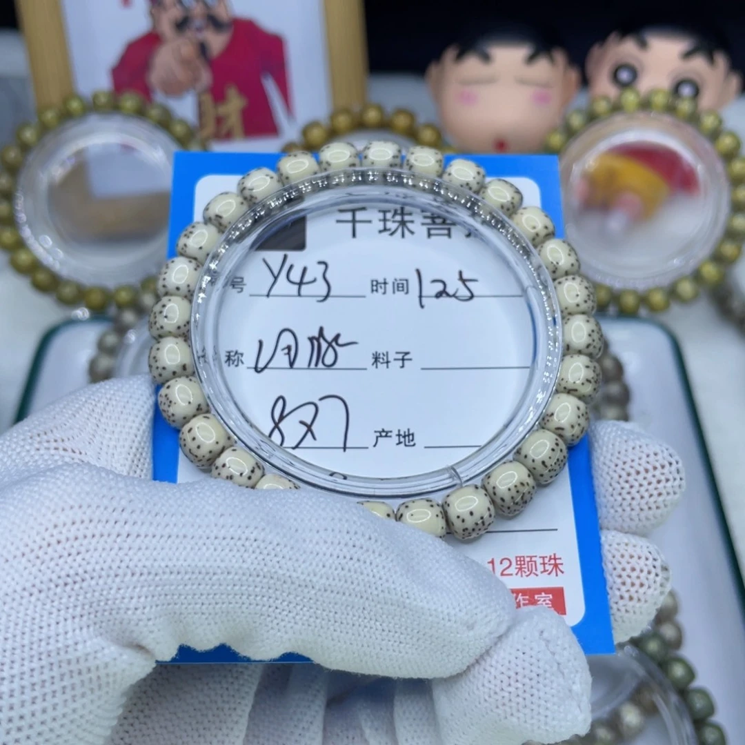 菩提籽类Y43河豚00