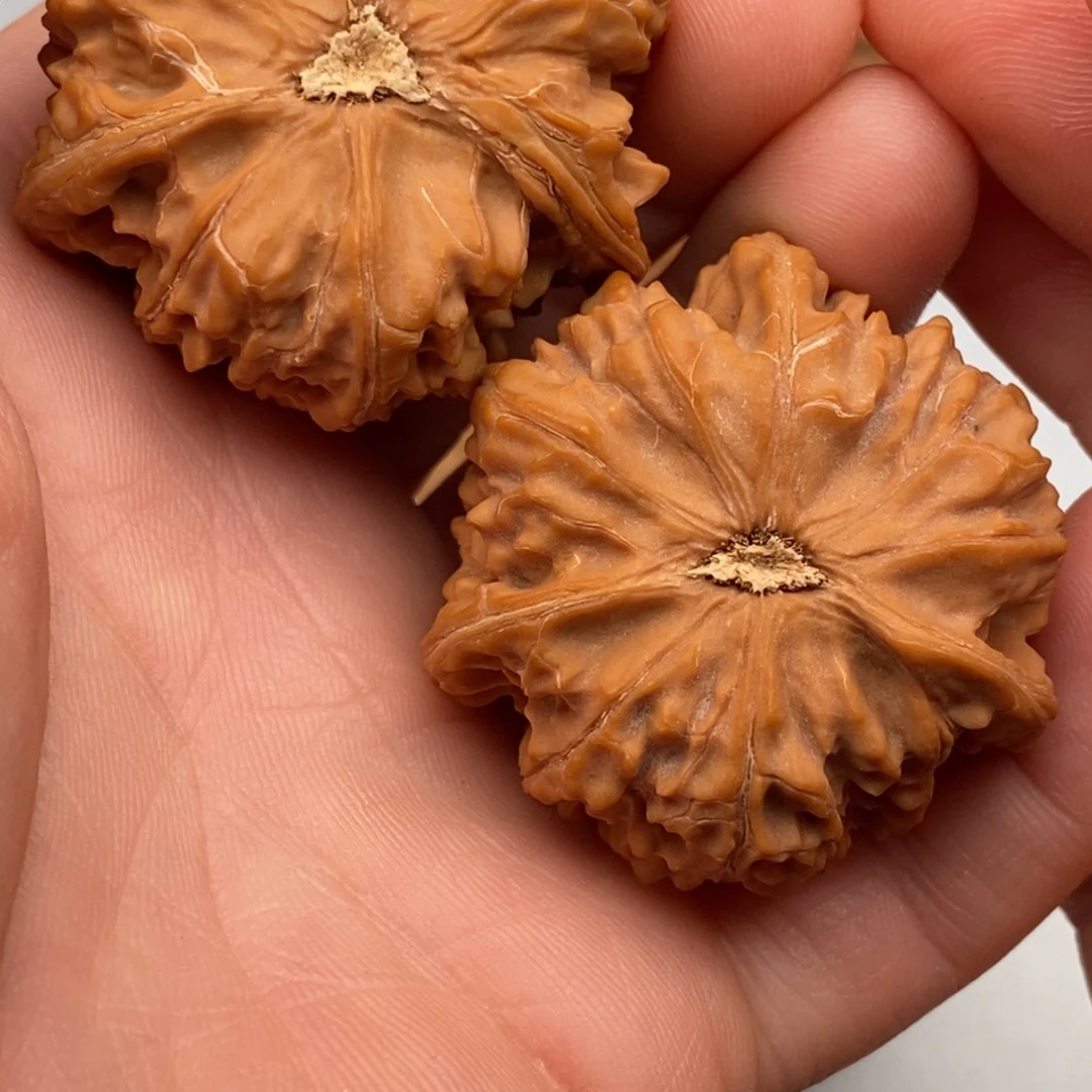 时***转文玩核桃把件43文山三棱