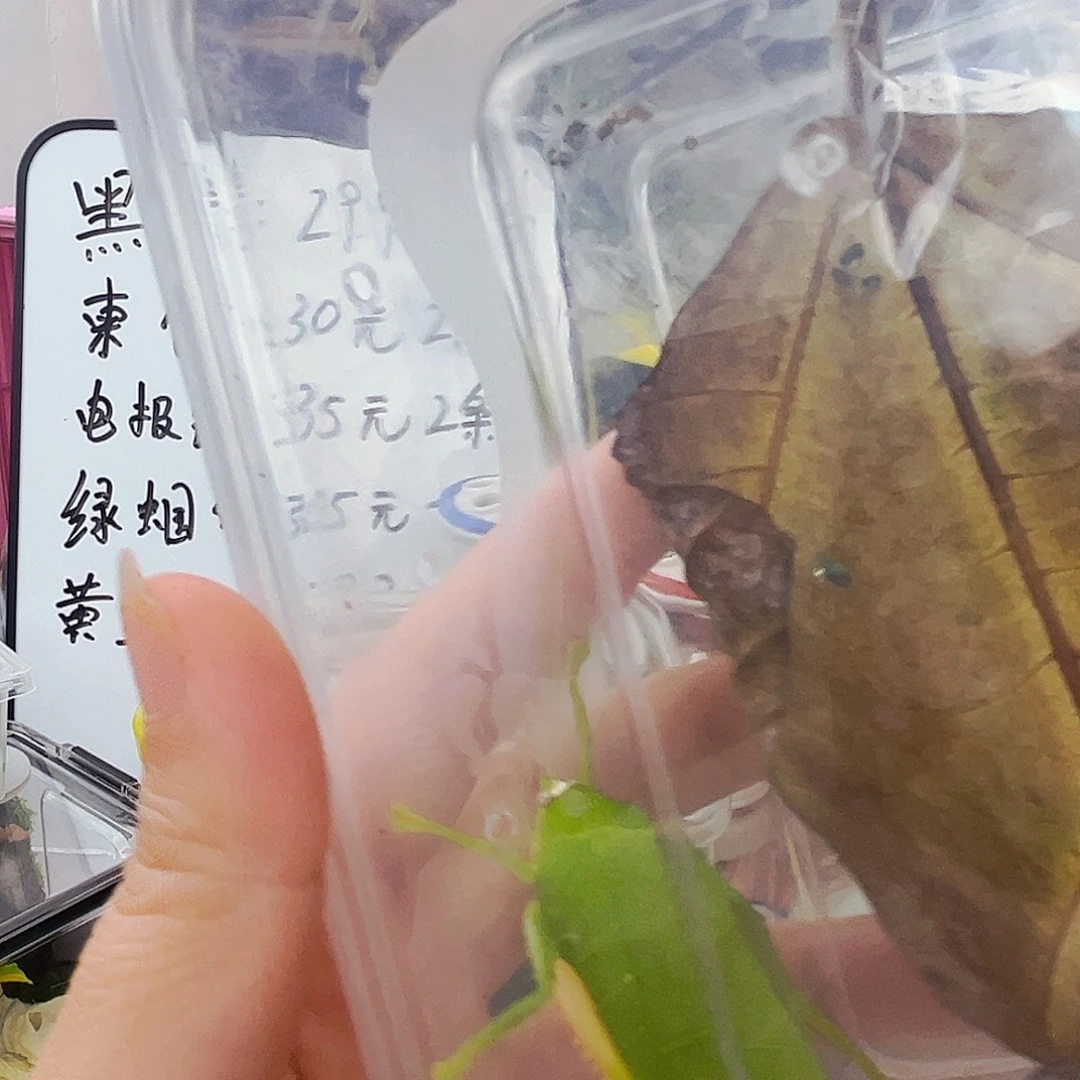 冠脉拍拍拍拍拍拍拍