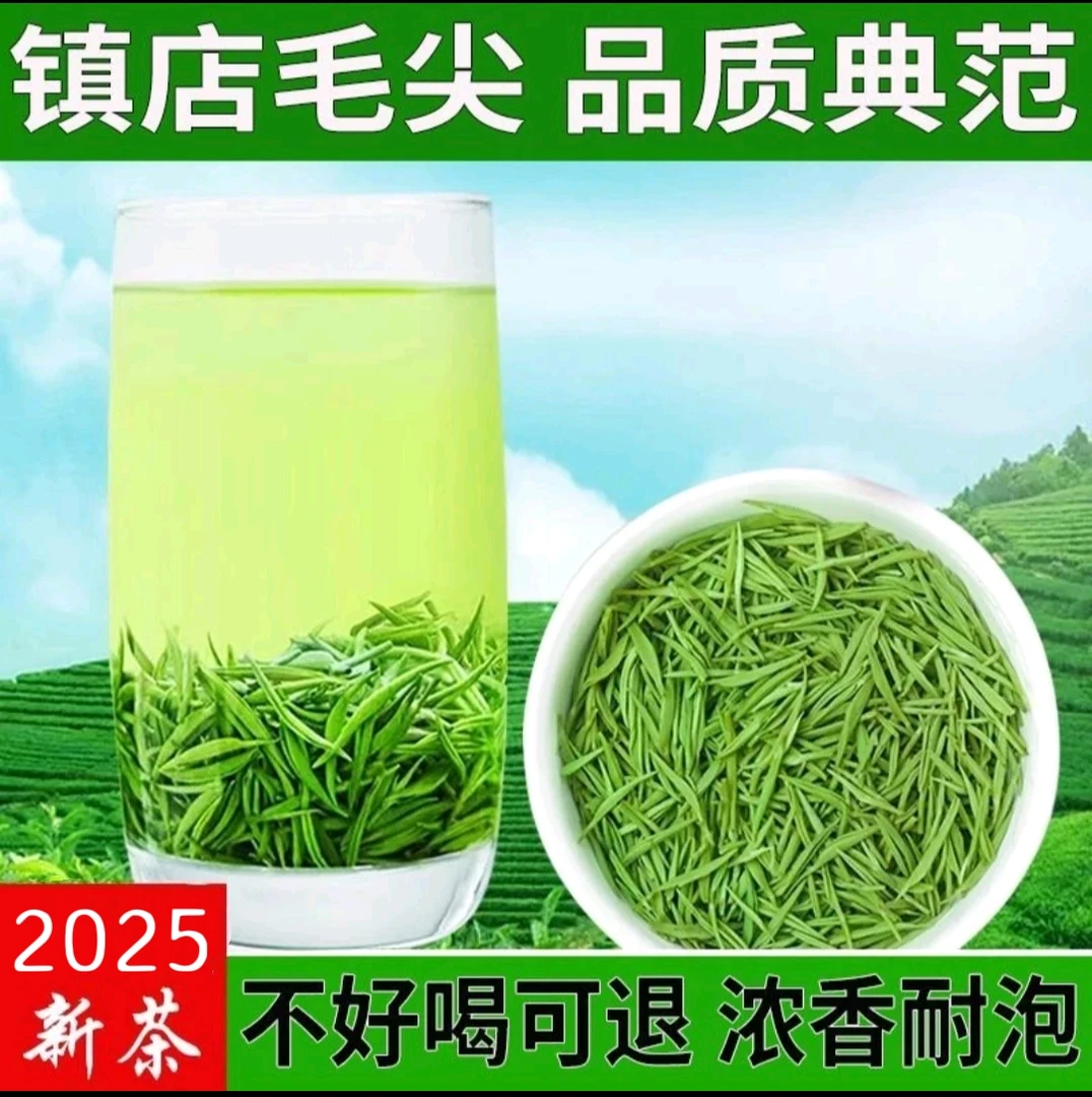 【镇店之宝】2025正宗毛尖绿茶明前全芽高货镇店之宝送礼佳品