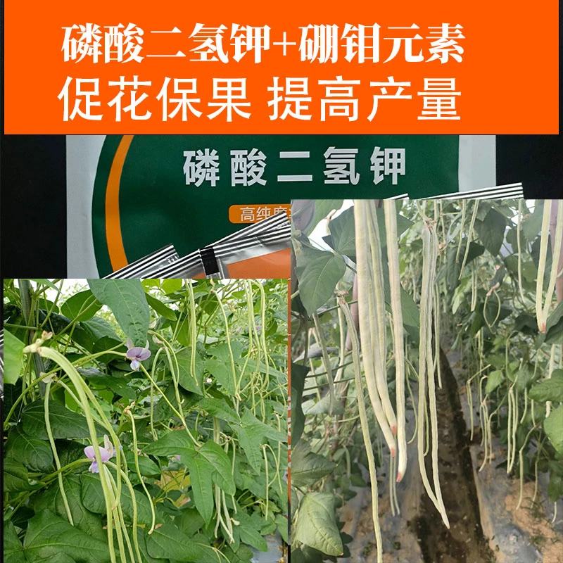 促花保果磷酸二氢钾硼钼叶面肥促花保果增加叶片厚绿增产增收