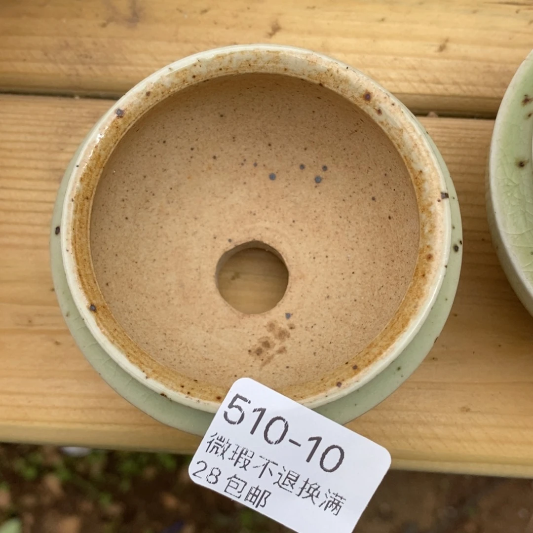 10号多肉盆一个呀