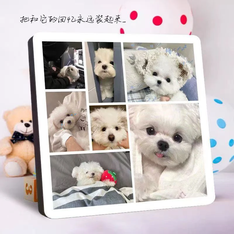 宠物相册相框定金