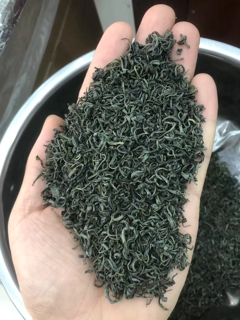 【两斤装] 大别山英山新茶炒青绿茶龙3原料 浓香耐泡 老茶客口粮茶