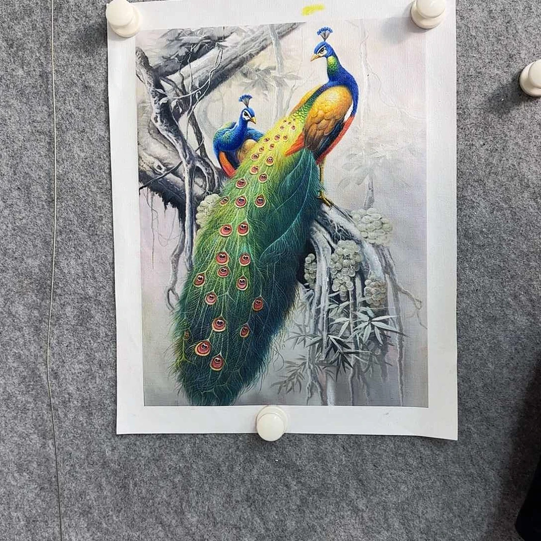 书法作品多次参加全国