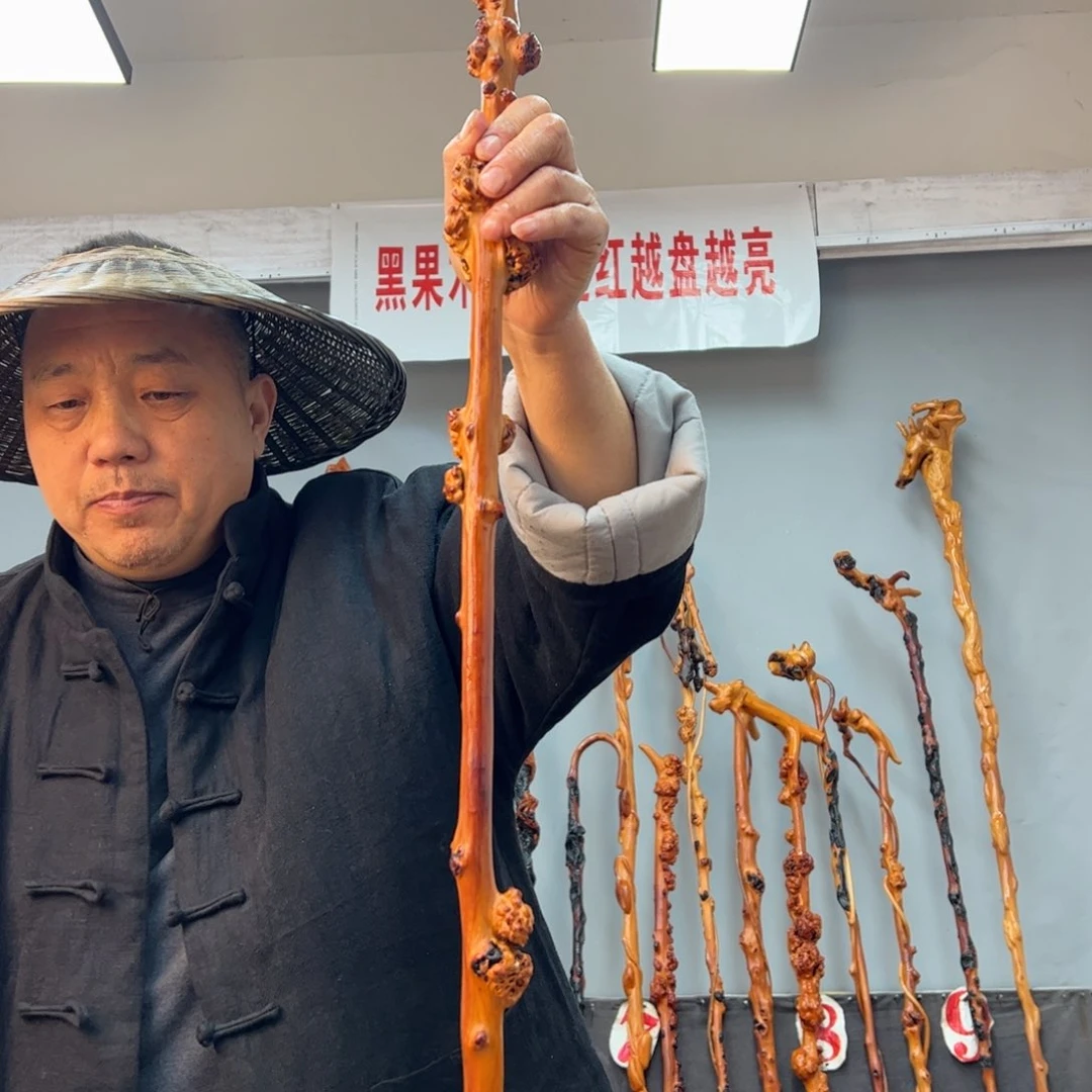 黑果木其他黑果木272