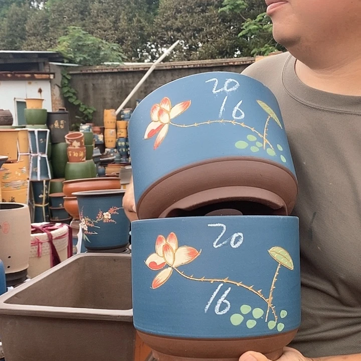 紫砂花盆盆栽观赏植物