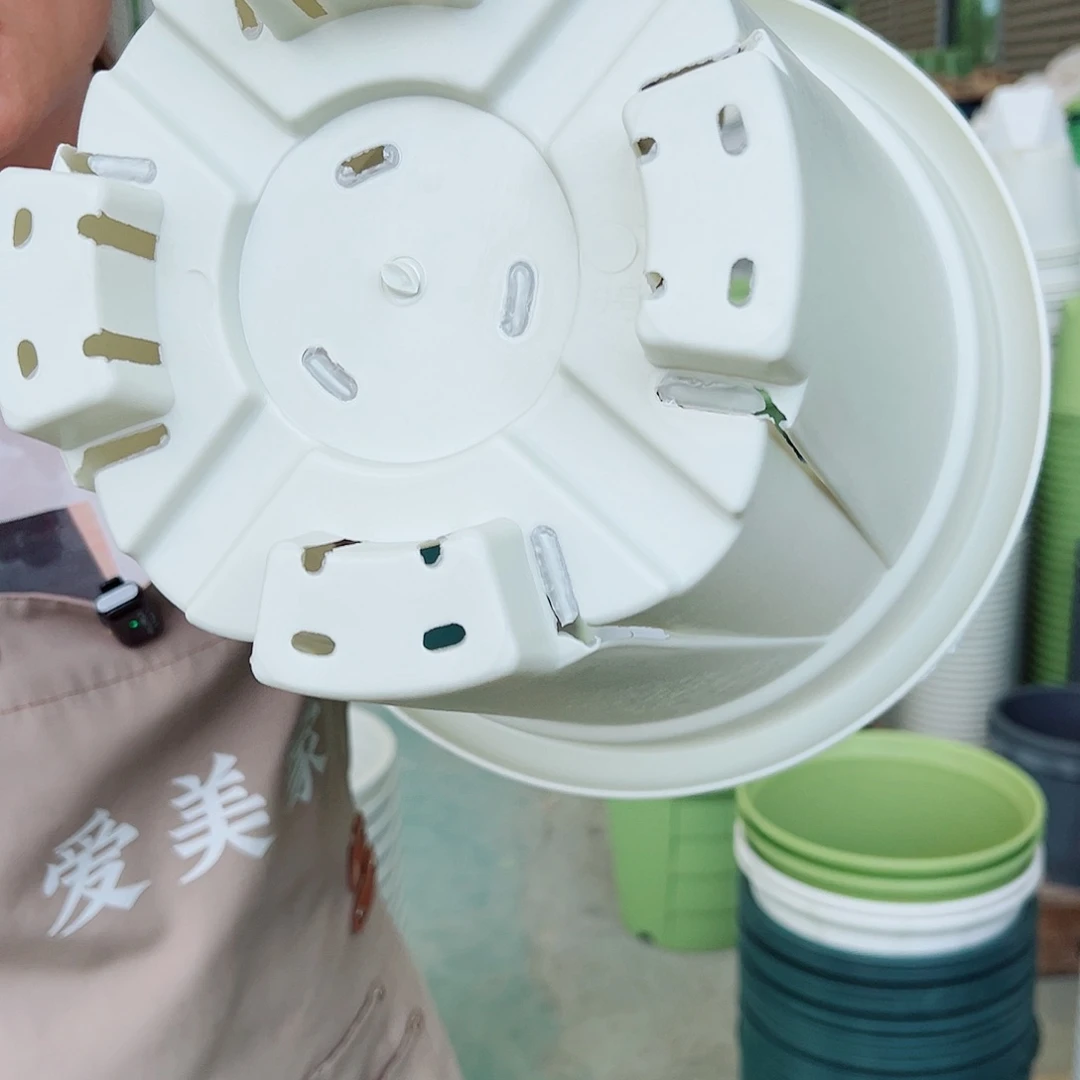 青山盆6#米白色5个无托