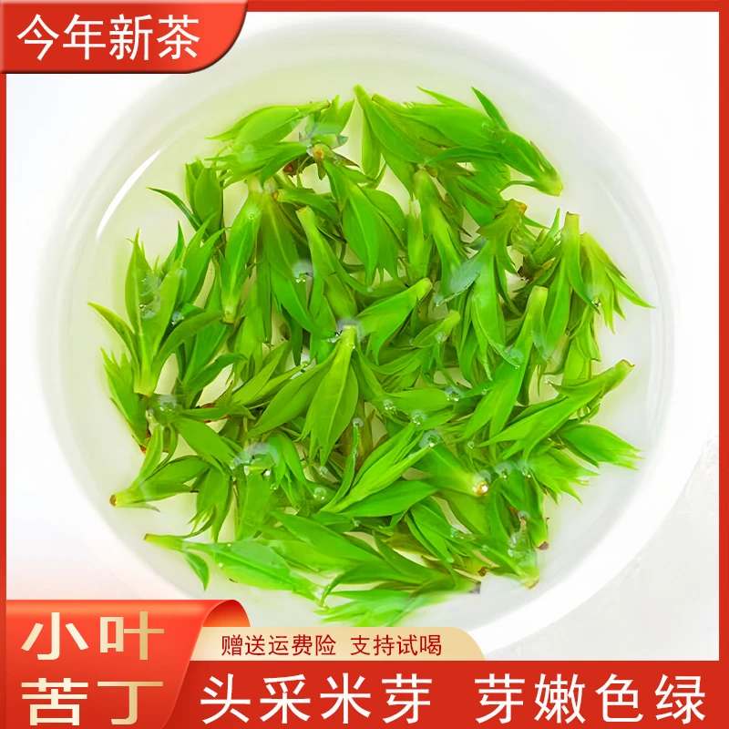 2025年新茶嫩芽 小叶苦丁茶 高山绿茶 早春 鲜爽 芽头春茶茶叶