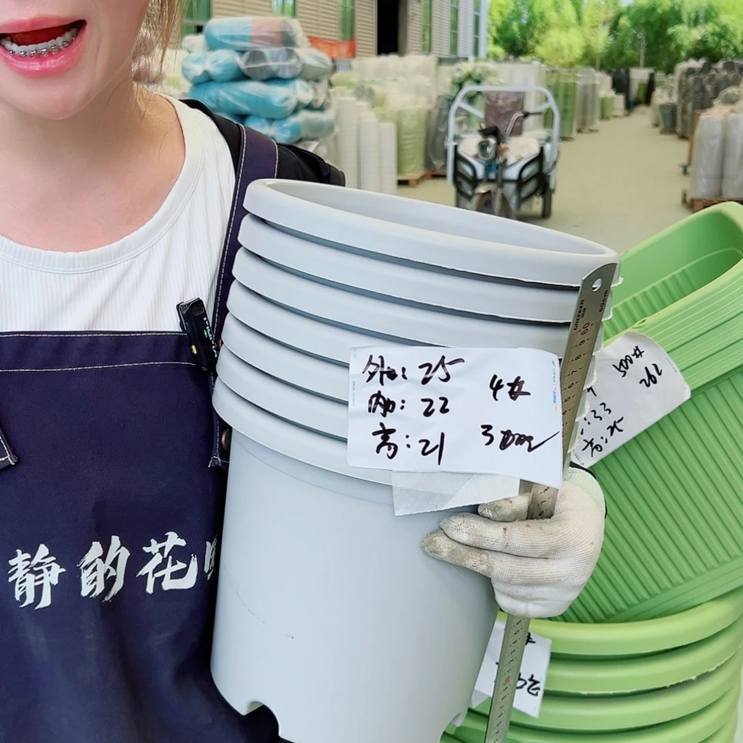 四季盆4#灰白8个无托