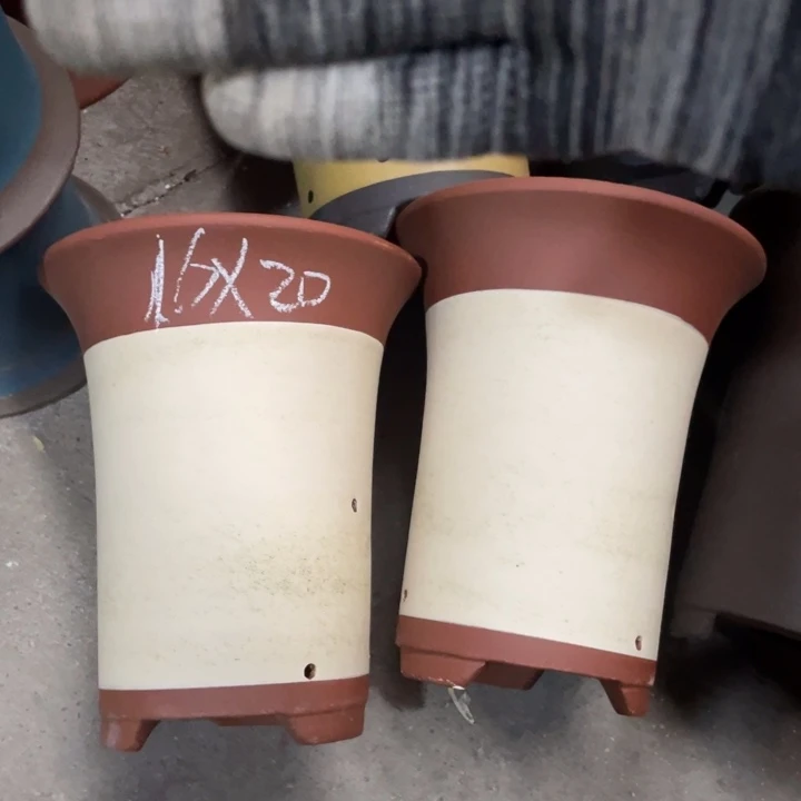 周三周四周三周四自始至终