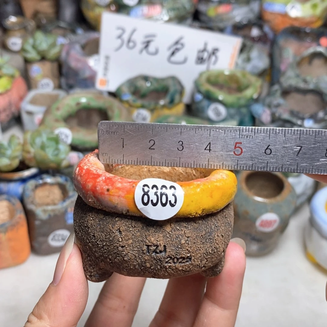 拍3送一个小礼物