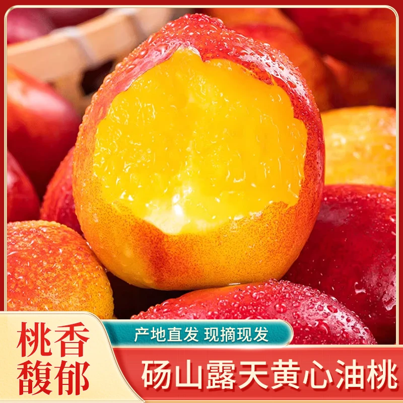 【砀山露天黄心油桃】现摘现发脆甜爆汁油桃新鲜3斤5斤宿州砀山产地