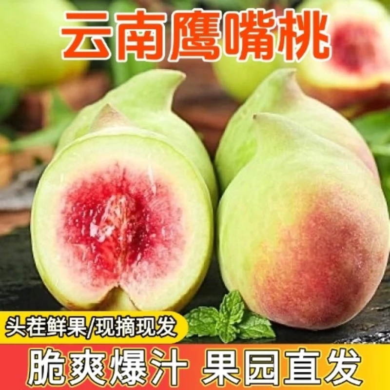 【果园直发】云南蒙自鹰嘴桃新鲜现摘脆甜可口树上熟时令水果