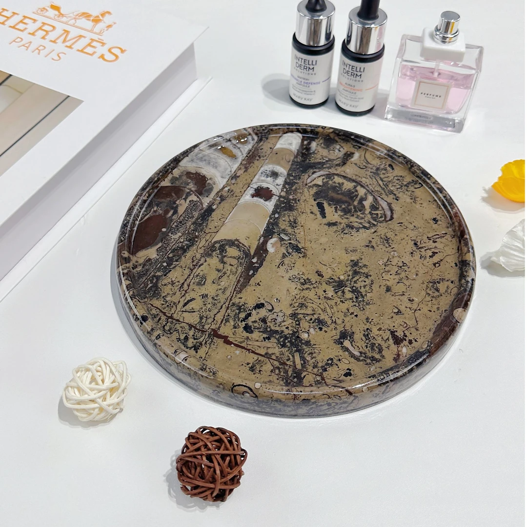 【沧海侏罗化石直径20cm】天然奢石干泡茶盘高端中式圆形家用简约